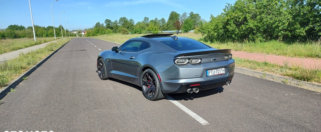 Chevrolet Camaro cena 185000 przebieg: 22700, rok produkcji 2021 z Turek małe 56